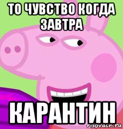 то чувство когда завтра карантин