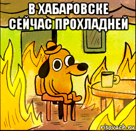 в хабаровске сейчас прохладней 