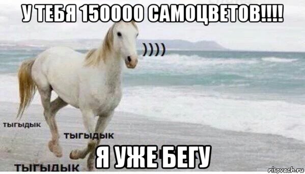 у тебя 150000 самоцветов!!!! я уже бегу, Мем   Тыгыдык