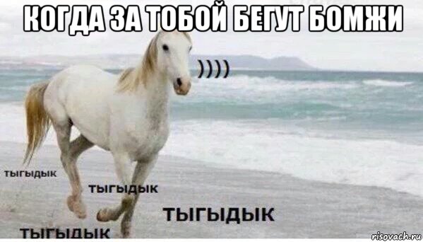 когда за тобой бегут бомжи , Мем   Тыгыдык