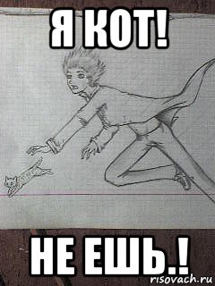 я кот! не ешь.!