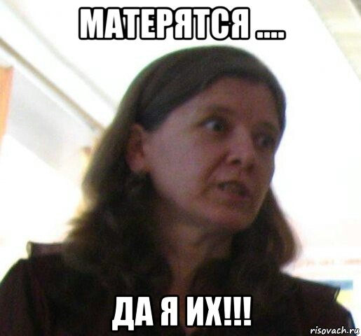 матерятся .... да я их!!!
