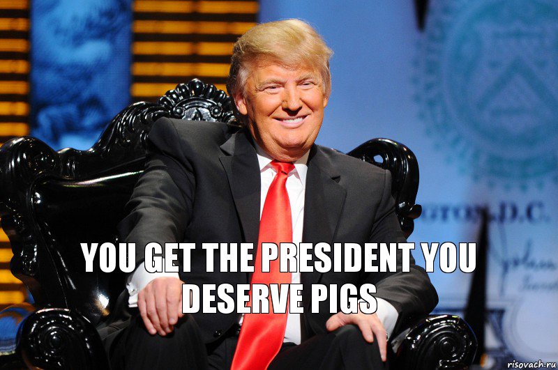 you get the president you deserve pigs