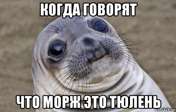 когда говорят что морж это тюлень