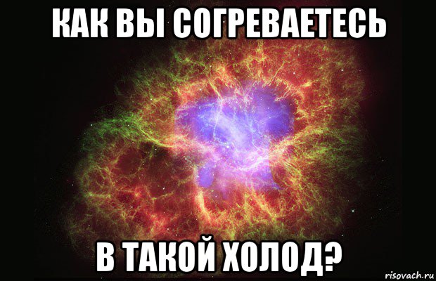 как вы согреваетесь в такой холод?