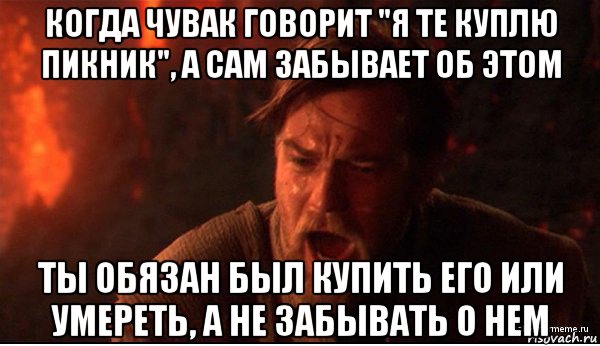 когда чувак говорит "я те куплю пикник", а сам забывает об этом ты обязан был купить его или умереть, а не забывать о нем, Мем ты был мне как брат