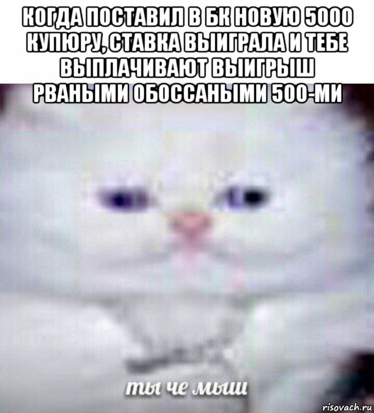 когда поставил в бк новую 5000 купюру, ставка выиграла и тебе выплачивают выигрыш рваными обоссаными 500-ми , Мем Ты че мыш