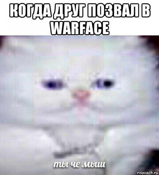 когда друг позвал в warface 