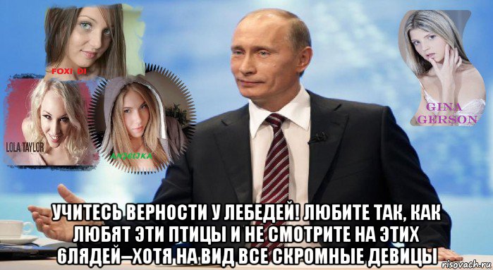  учитесь верности у лебедей! любите так, как любят эти птицы и не смотрите на этих 6лядей--хотя на вид все скромные девицы