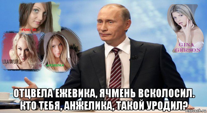  отцвела ежевика, ячмень всколосил. кто тебя, анжелика, такой уродил?, Мем У НАС ЕСТЬ ЧТО ПРЕДЛОЖИТЬ МИРУ