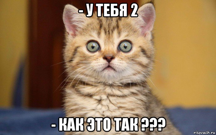 - у тебя 2 - как это так ???, Мем  удивление