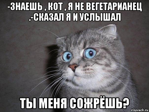 -знаешь , кот , я не вегетарианец .-сказал я и услышал ты меня сожрёшь?, Мем  удивлённый кот