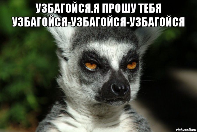 узбагойся.я прошу тебя узбагойся-узбагойся-узбагойся , Мем   Я збагоен