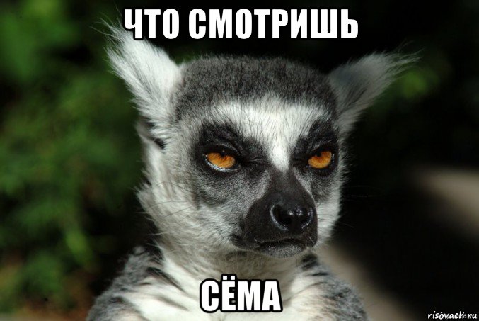 что смотришь сёма, Мем   Я збагоен