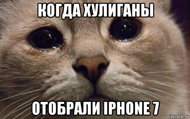 когда хулиганы отобрали iphone 7, Мем   В мире грустит один котик