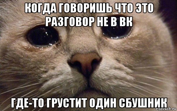 когда говоришь что это разговор не в вк где-то грустит один сбушник, Мем   В мире грустит один котик