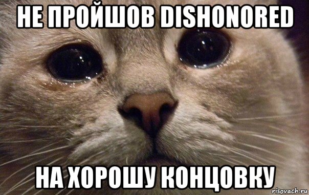 не пройшов dishonored на хорошу концовку, Мем   В мире грустит один котик