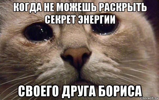 когда не можешь раскрыть секрет энергии своего друга бориса, Мем   В мире грустит один котик