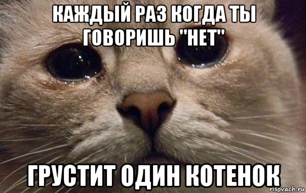 каждый раз когда ты говоришь "нет" грустит один котенок, Мем   В мире грустит один котик