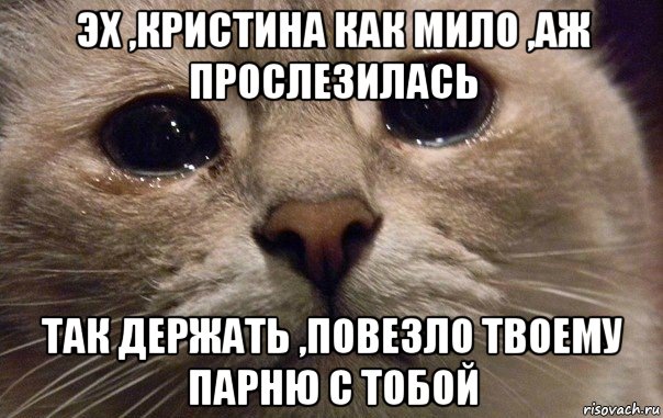 эх ,кристина как мило ,аж прослезилась так держать ,повезло твоему парню с тобой, Мем   В мире грустит один котик