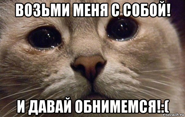 возьми меня с собой! и давай обнимемся!:(, Мем   В мире грустит один котик