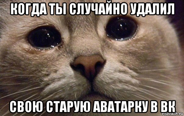 когда ты случайно удалил свою старую аватарку в вк, Мем   В мире грустит один котик