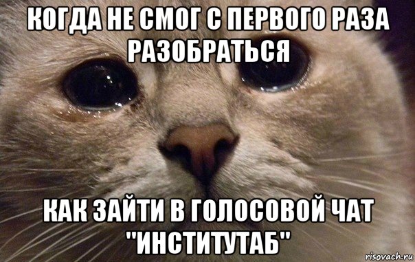 когда не смог с первого раза разобраться как зайти в голосовой чат "институтаб", Мем   В мире грустит один котик