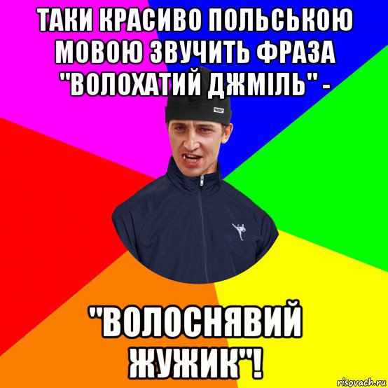 таки красиво польською мовою звучить фраза "волохатий джміль" - "волоснявий жужик"!