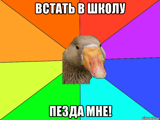 встать в школу пезда мне!