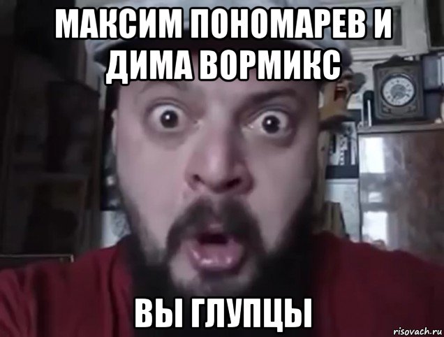 максим пономарев и дима вормикс вы глупцы