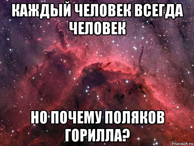 каждый человек всегда человек но почему поляков горилла?, Мем Викторина