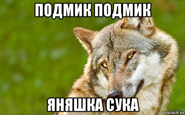 подмик подмик яняшка сука, Мем   Volf