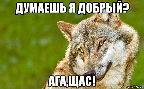 думаешь я добрый? ага,щас!, Мем   Volf