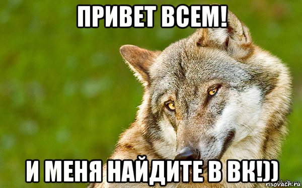 привет всем! и меня найдите в вк!)), Мем   Volf