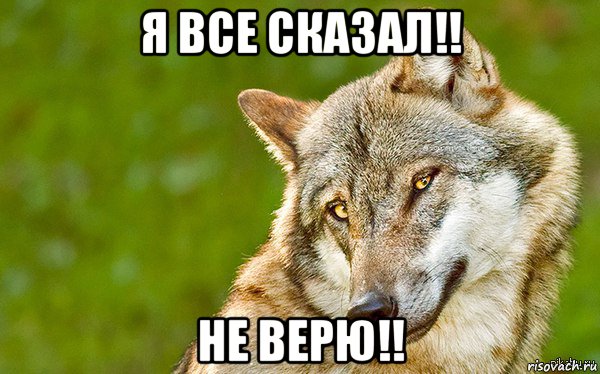 я все сказал!! не верю!!, Мем   Volf