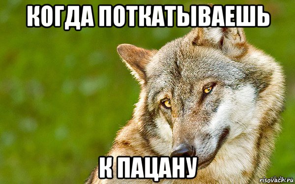 когда поткатываешь к пацану, Мем   Volf