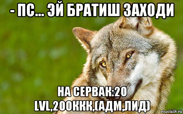 - пс... эй братиш заходи на сервак:20 lvl,200ккк,(адм,лид), Мем   Volf