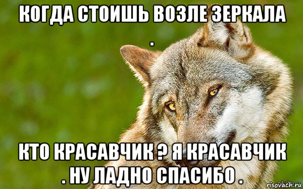 когда стоишь возле зеркала . кто красавчик ? я красавчик . ну ладно спасибо ., Мем   Volf