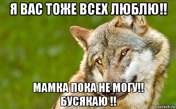 я вас тоже всех люблю!! мамка пока не могу!! бусякаю !!, Мем   Volf