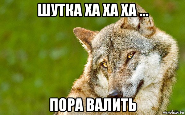 шутка ха ха ха ... пора валить, Мем   Volf