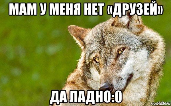 мам у меня нет «друзей» да ладно:0, Мем   Volf