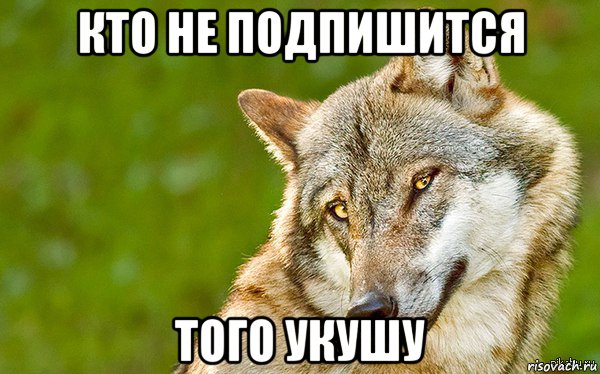 кто не подпишится того укушу, Мем   Volf