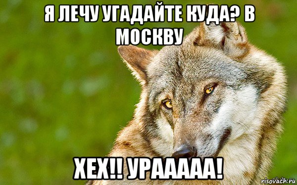 я лечу угадайте куда? в москву хех!! урааааа!, Мем   Volf