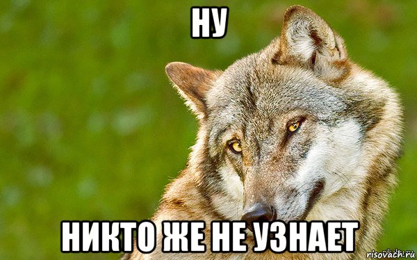 ну никто же не узнает, Мем   Volf