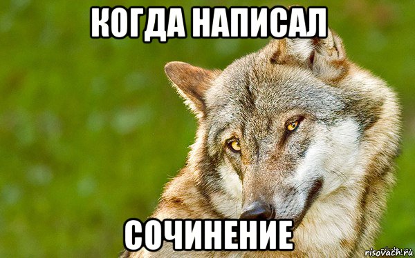 когда написал сочинение, Мем   Volf