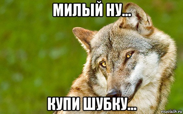 милый ну... купи шубку..., Мем   Volf