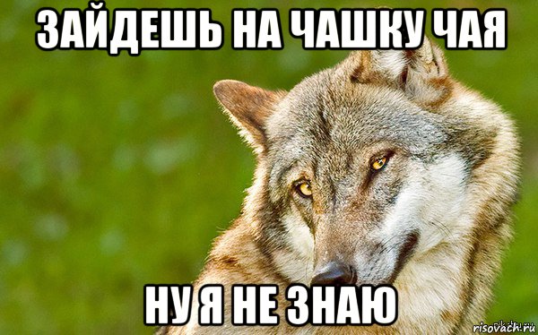 зайдешь на чашку чая ну я не знаю, Мем   Volf