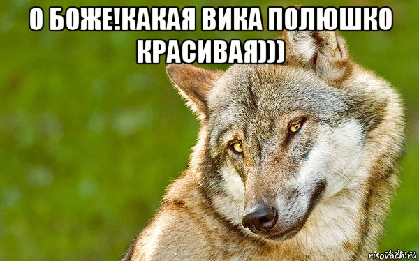 о боже!какая вика полюшко красивая))) , Мем   Volf