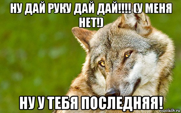 ну дай руку дай дай!!!! (у меня нет!) ну у тебя последняя!, Мем   Volf