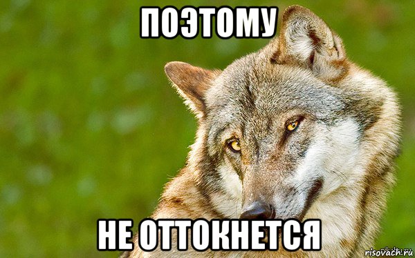 поэтому не оттокнется, Мем   Volf